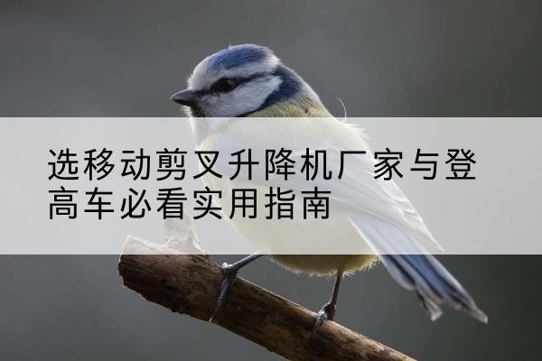 涿鹿电动升降机厂家-选移动剪叉升降机厂家与登高车必看实用指南