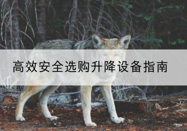 涿鹿升降货梯厂家推荐-*安全选购升降设备指南